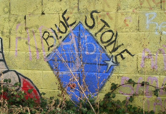 Artwork at former Blue Stone School