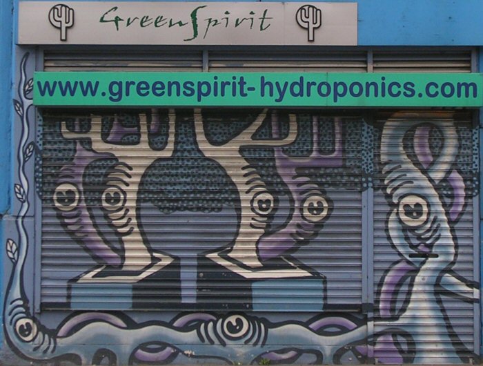 Green Spirit close-up