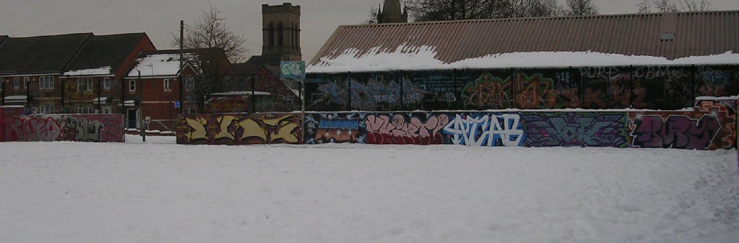 Wall 4 Mount Pleasant Park December 2010