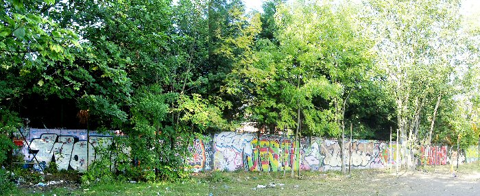 South Wall Sawdon Road Sept.2011