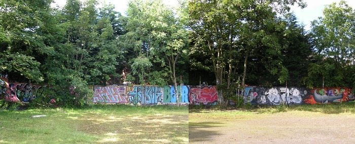 South Wall Sawdon Road Aug.2012