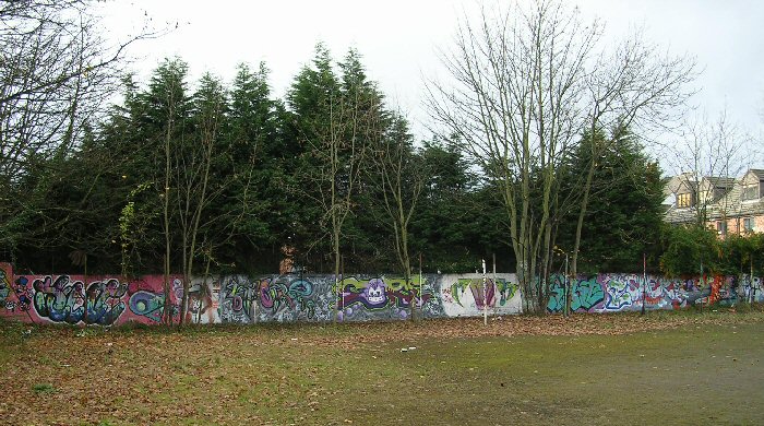 South Wall Sawdon Road Nov.12